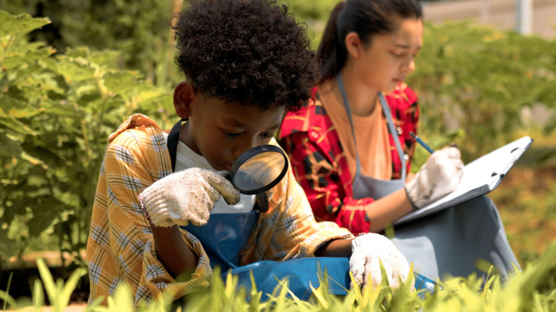 jpeg-optimizer_STEM Summer 01 How STEM Activities Can Make Summer Unforgettable - EFK